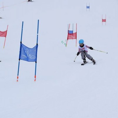 Normal x DSC 0837 (2)